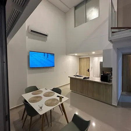 Modern 2 Floor Penthouse